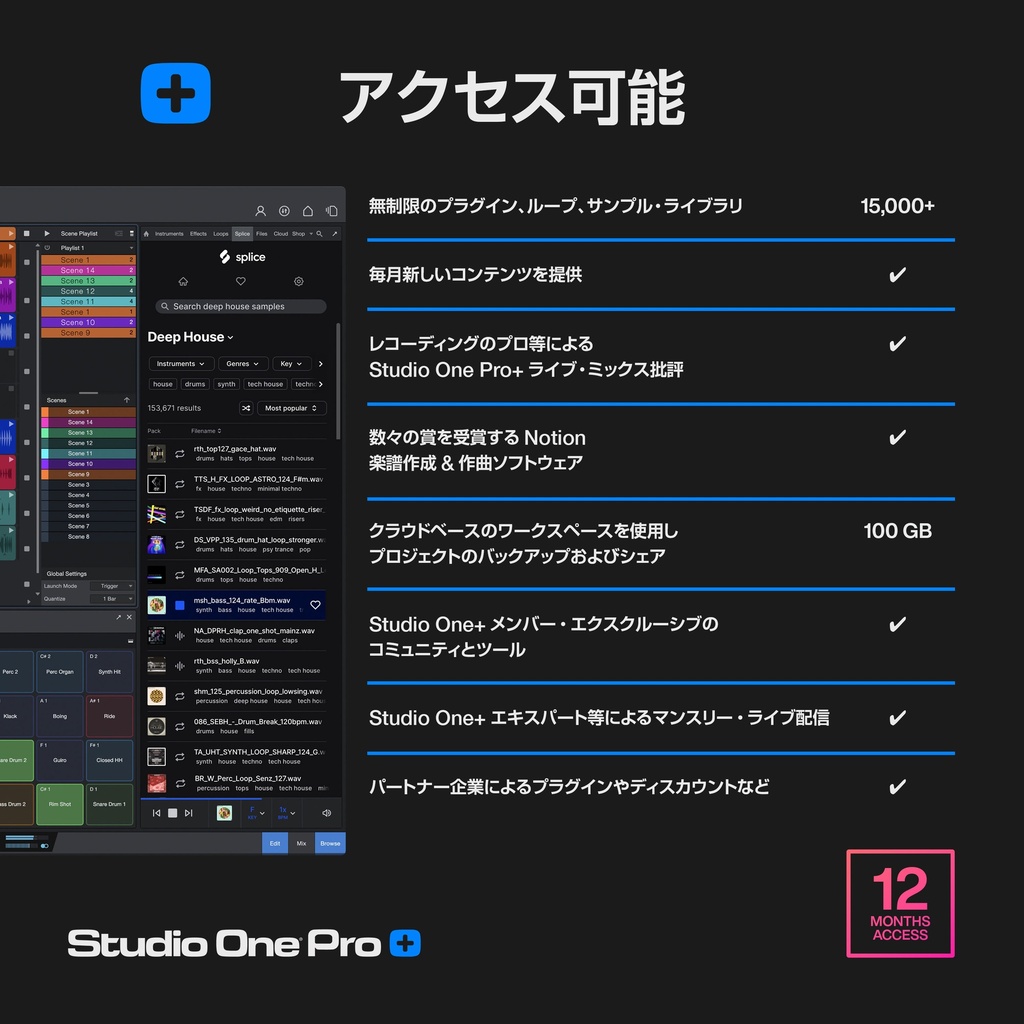 Studio One Pro+ 12 MONTH